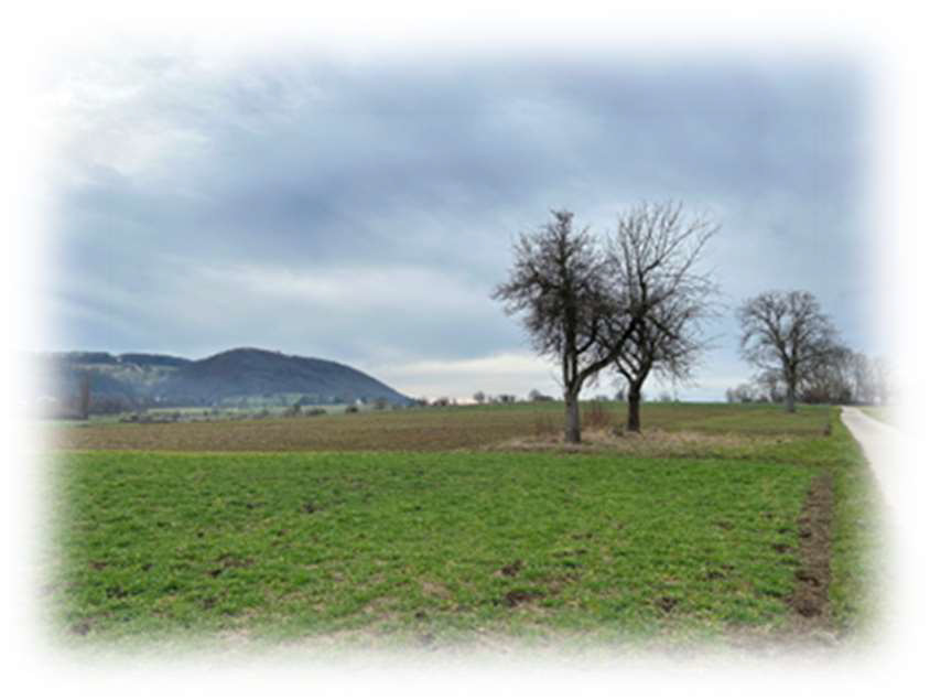Gemütlicher Spaziergang Bild Berg - Wiese - Baum